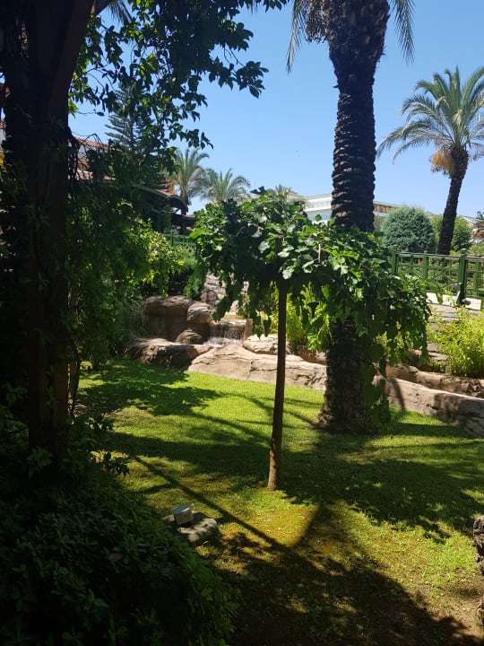 Gartenanlage Crystal Paraiso Aqua Collection