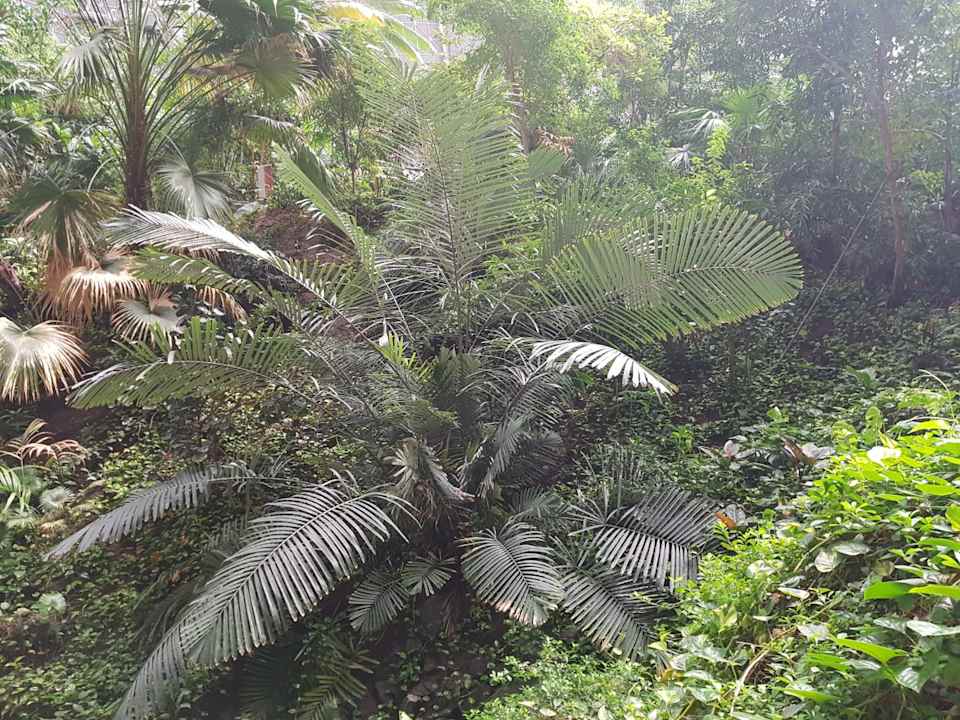 Sonstiges Tropical Islands Resort