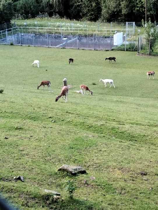 Sonstiges Landhotel Untere Kapfenhardter Mühle