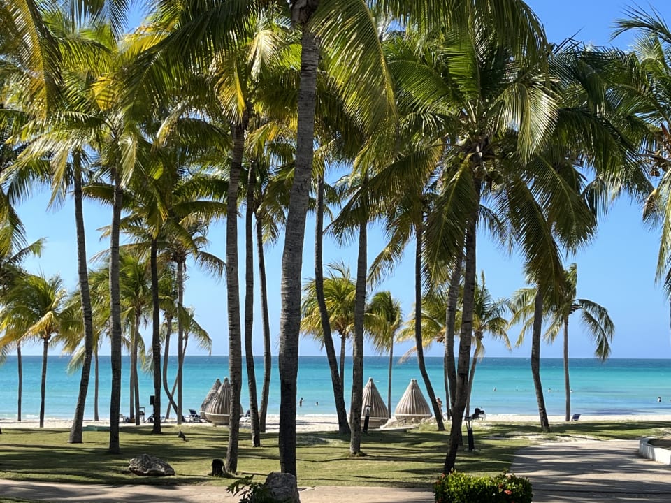 Ausblick Paradisus Varadero Resort & Spa