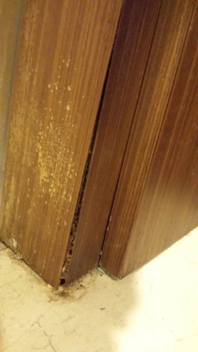 Badezimmertüre... Side Alegria Hotel & Spa - Adults only +16