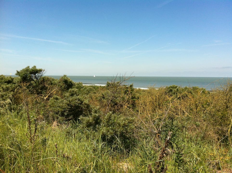 Dünen Roompot Noordzee Résidence Cadzand-Bad
