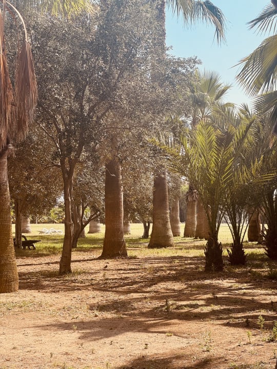 Gartenanlage Seaden Sea World Resort & Spa