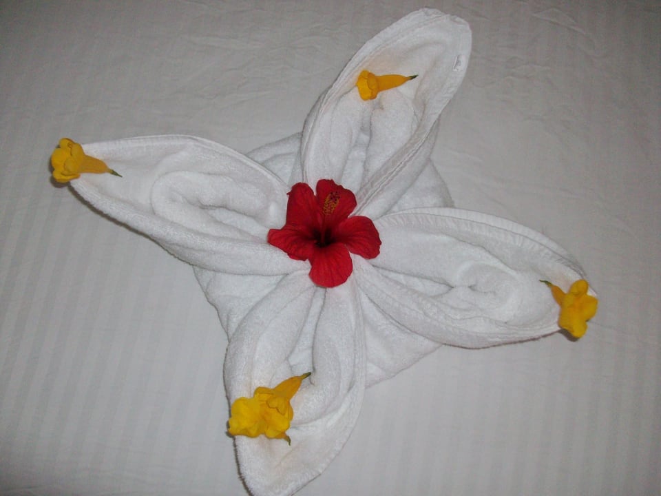 Überraschung Pickalbatros Alf Leila Wa Leila Resort - Neverland Hurghada