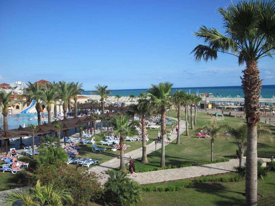 Ausblick TUI BLUE Palm Garden