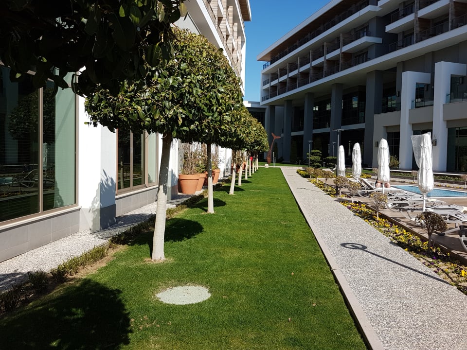 Sonstiges Acanthus Cennet Barut Collection