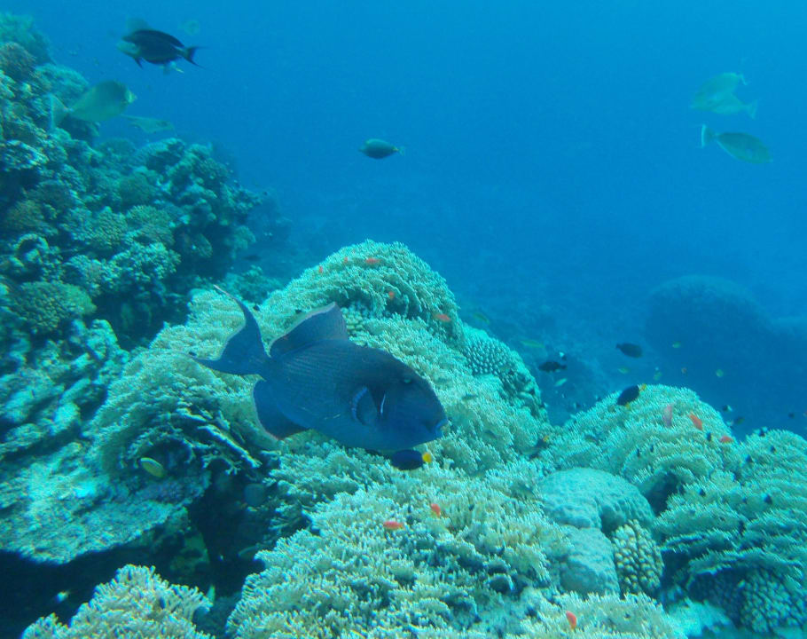 Strand Casa Mare Resort