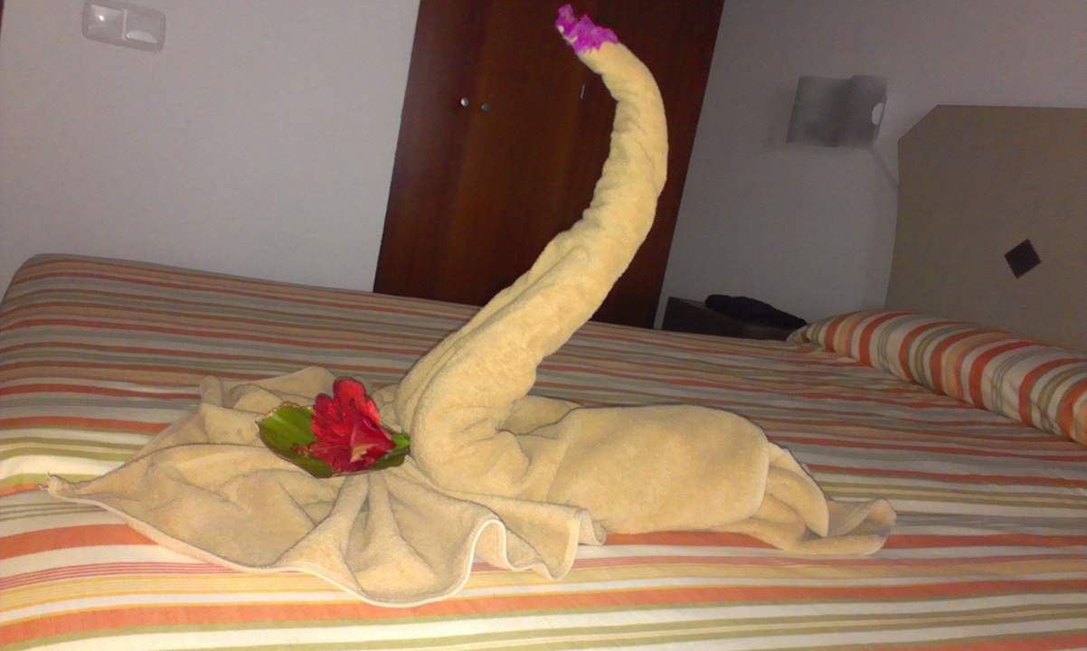 Was für ein Schwan  SBH Hotel Taro Beach