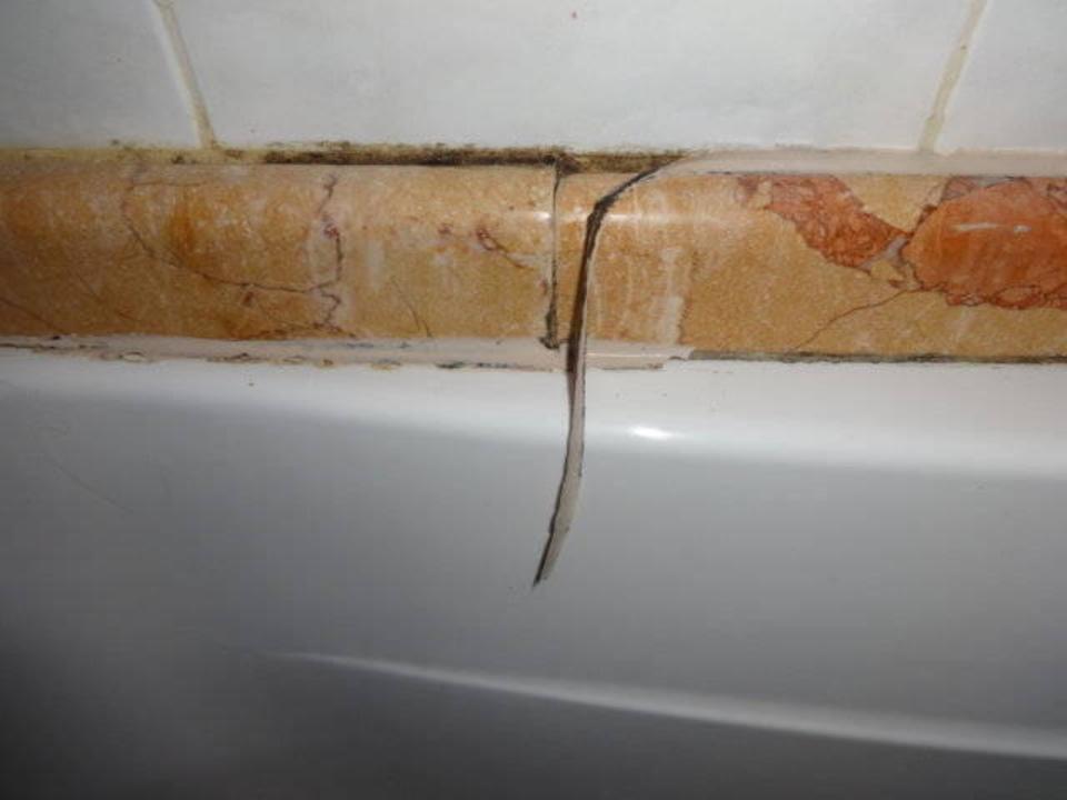 Ekel?  Dodeca Sea Resort