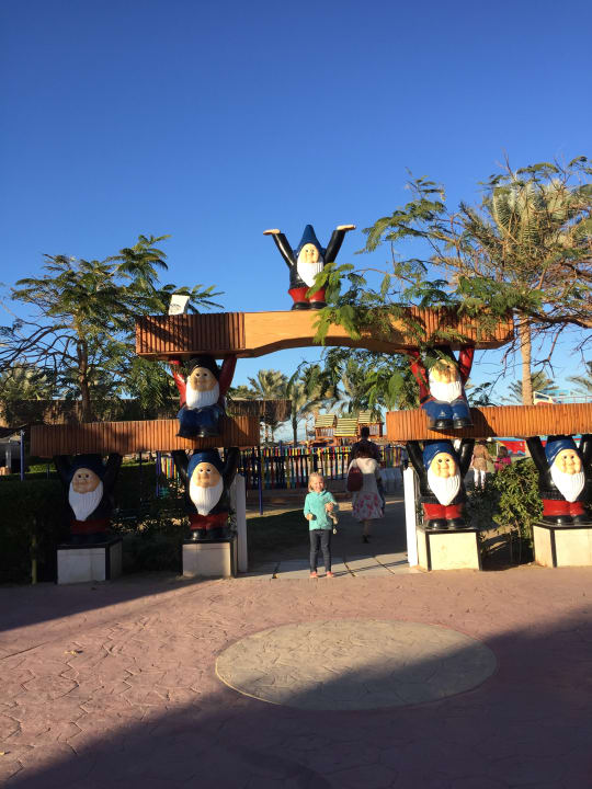 Ausblick Desert Rose