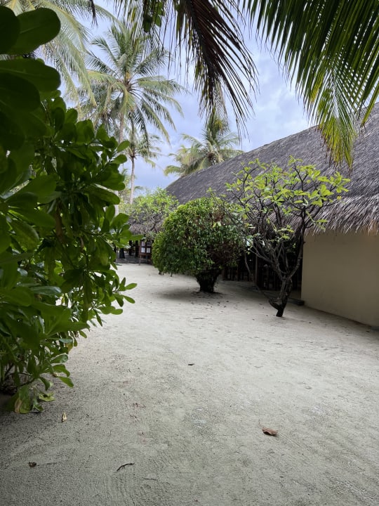 Gartenanlage Summer Island Maldives