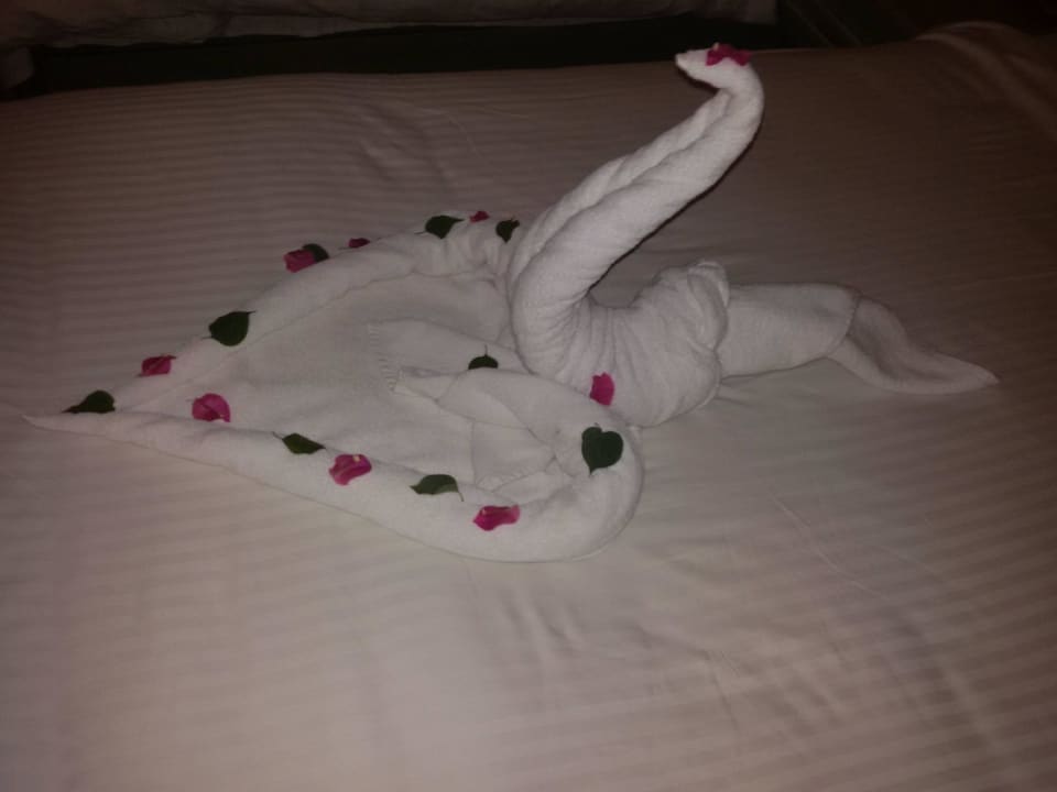 Künstlerischer Roomboy Giftun Azur Resort