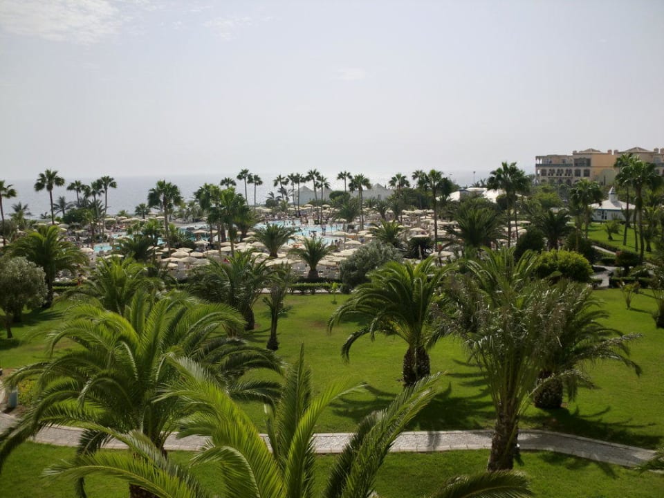 Garten Hotel Riu Gran Canaria