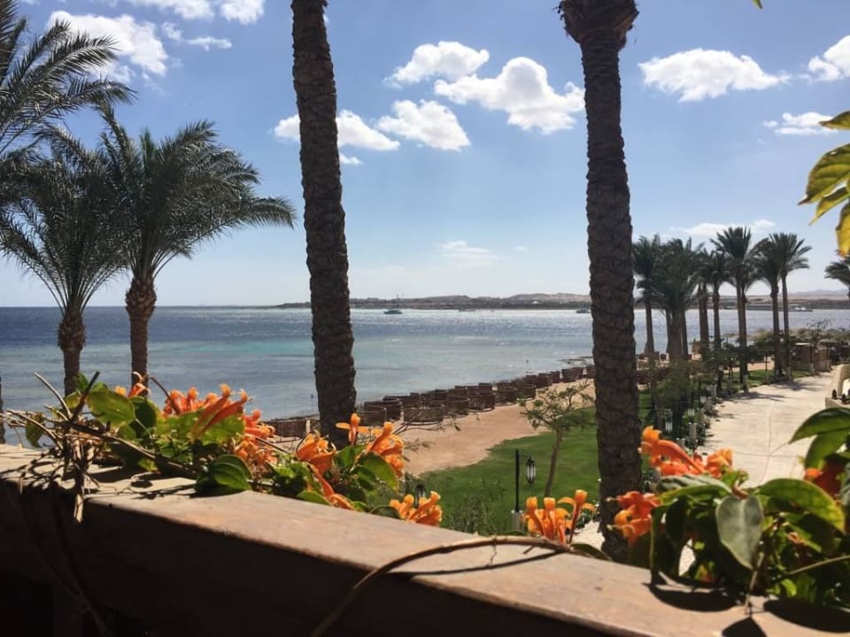 Mittagessen im Shimmers Makadi Spa - Adults only