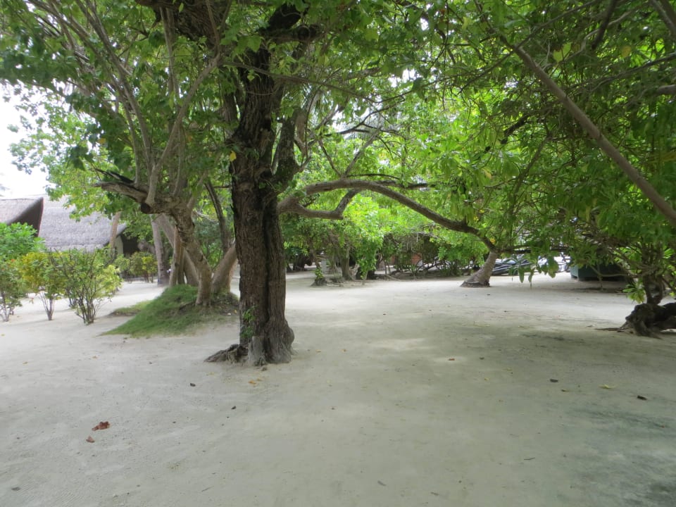 Spaziergang am Strand und den Beachvillen Adaaran Select Hudhuran Fushi - Premium All Inclusive