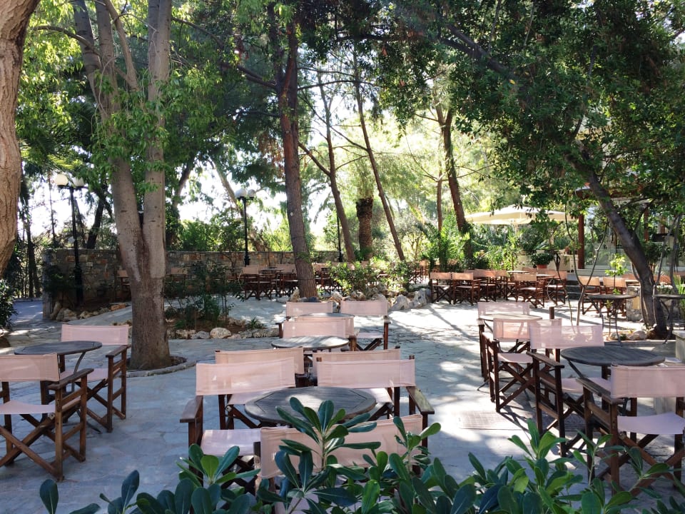 Gartenanlage Apollonia Beach Resort & Spa
