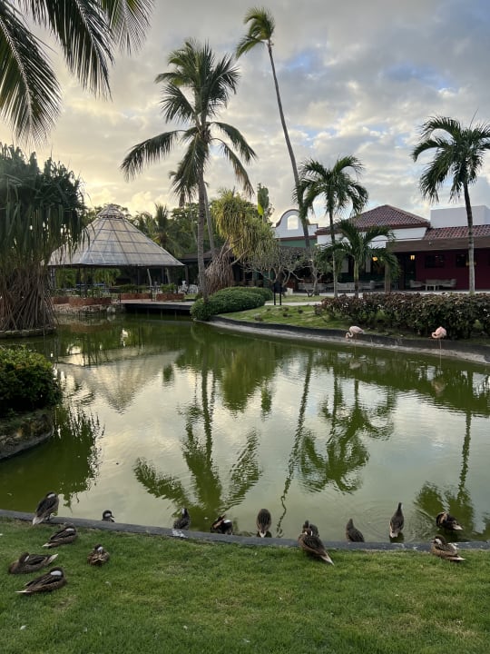 Gartenanlage Caribe Deluxe Princess