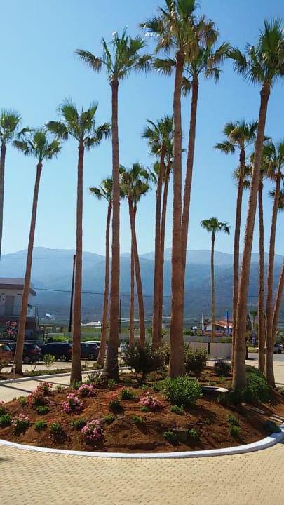 Vorm Hotel  allsun Hotel Carolina Mare