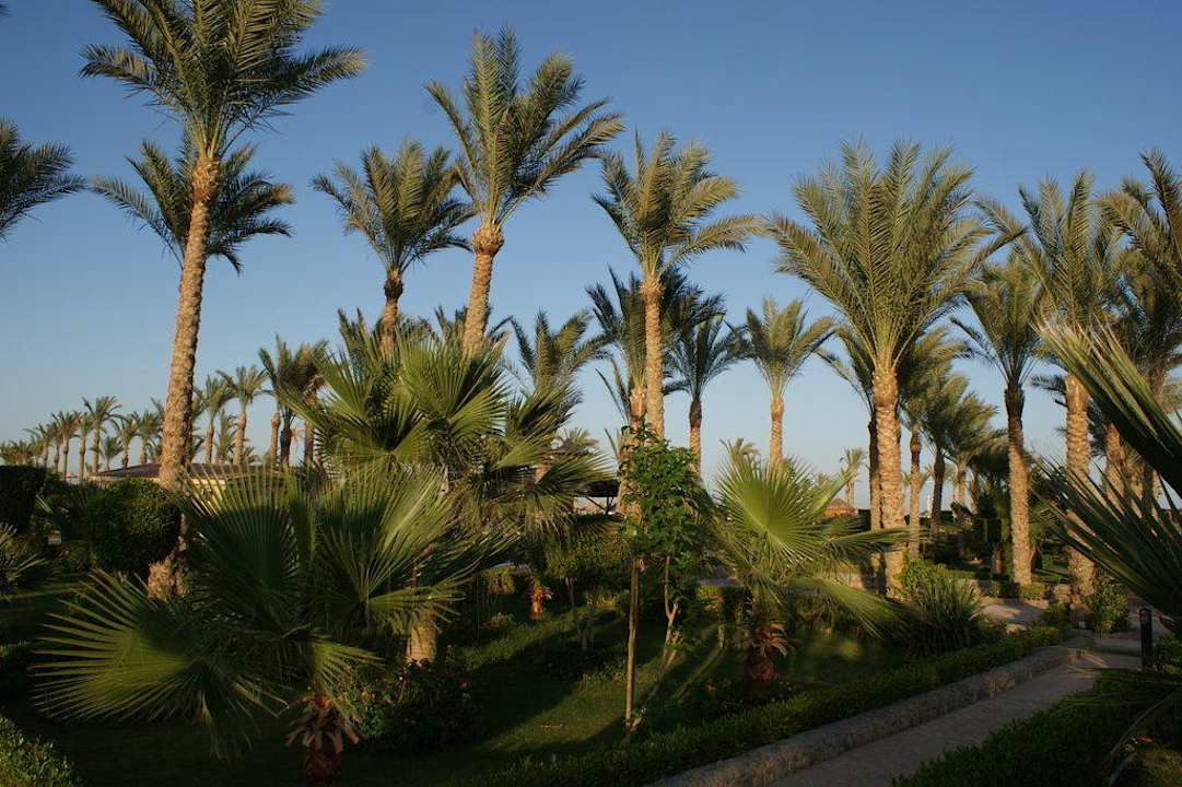 Эх, красота! Riviera Aqua Park Resort