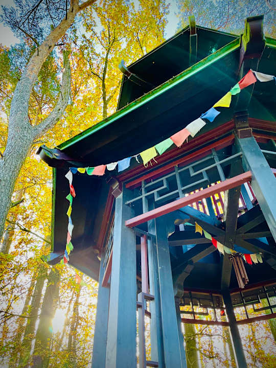 Gartenanlage Spirit & SPA Hotel Birkenhof am Elfenhain