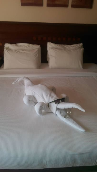 Krokodil Shams Prestige Abu Soma-Adults Only