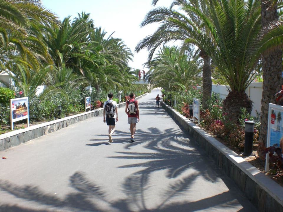 Weg zu den Dünen Hotel Riu Palace Maspalomas Adults Only