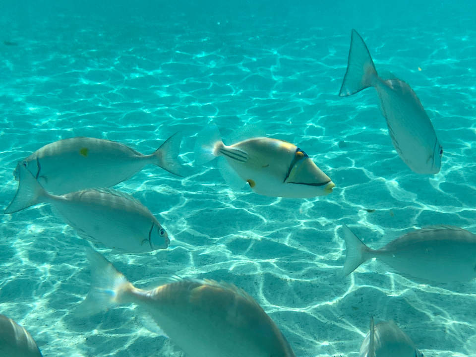 Strand Pickalbatros Villaggio Resort - Portofino