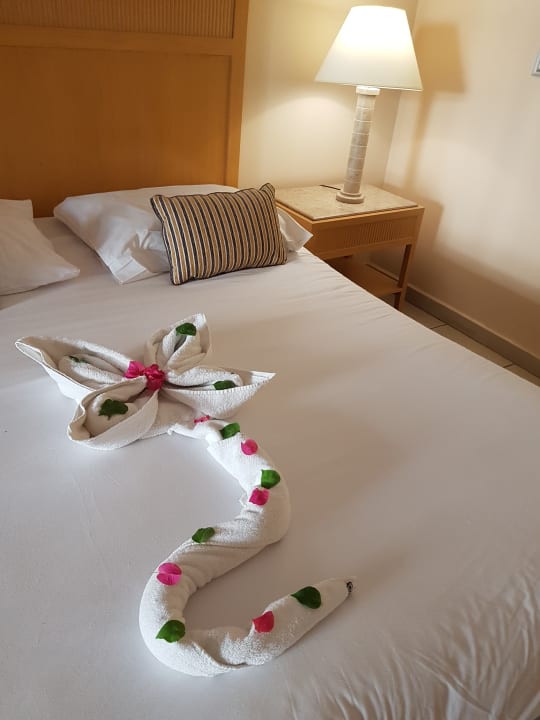 Zimmer Hotel JAZ Makadi Star & Spa