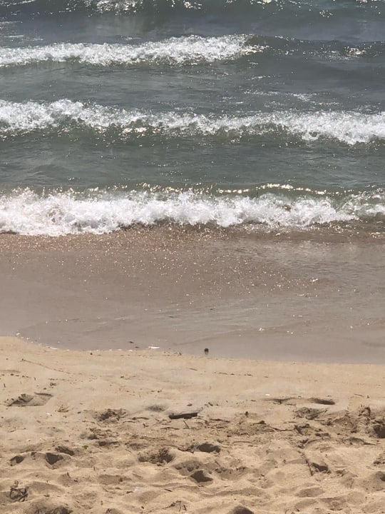 Strand Iberostar Waves Bahia de Palma