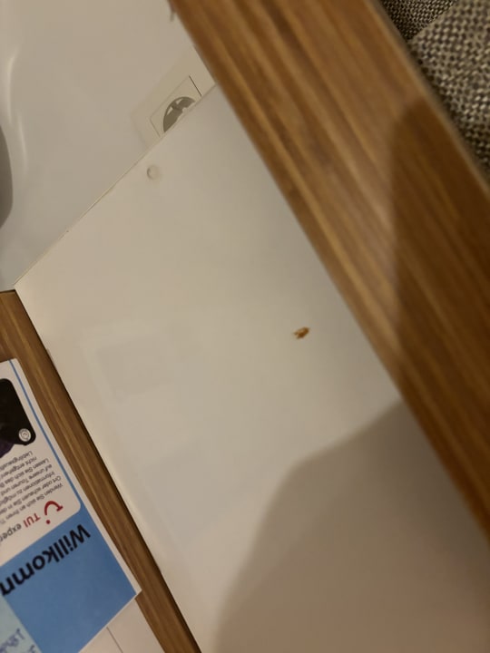 Zimmer Annabella Diamond Hotel & Spa