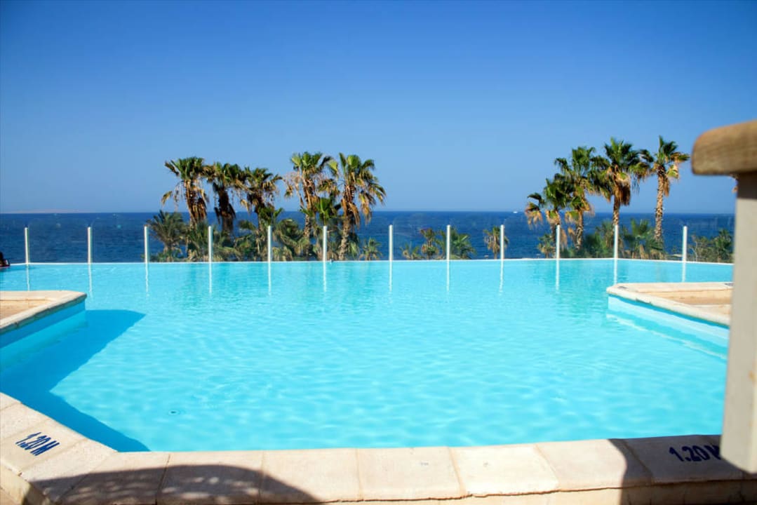 Der kleine Infinitypool Pickalbatros Citadel Resort