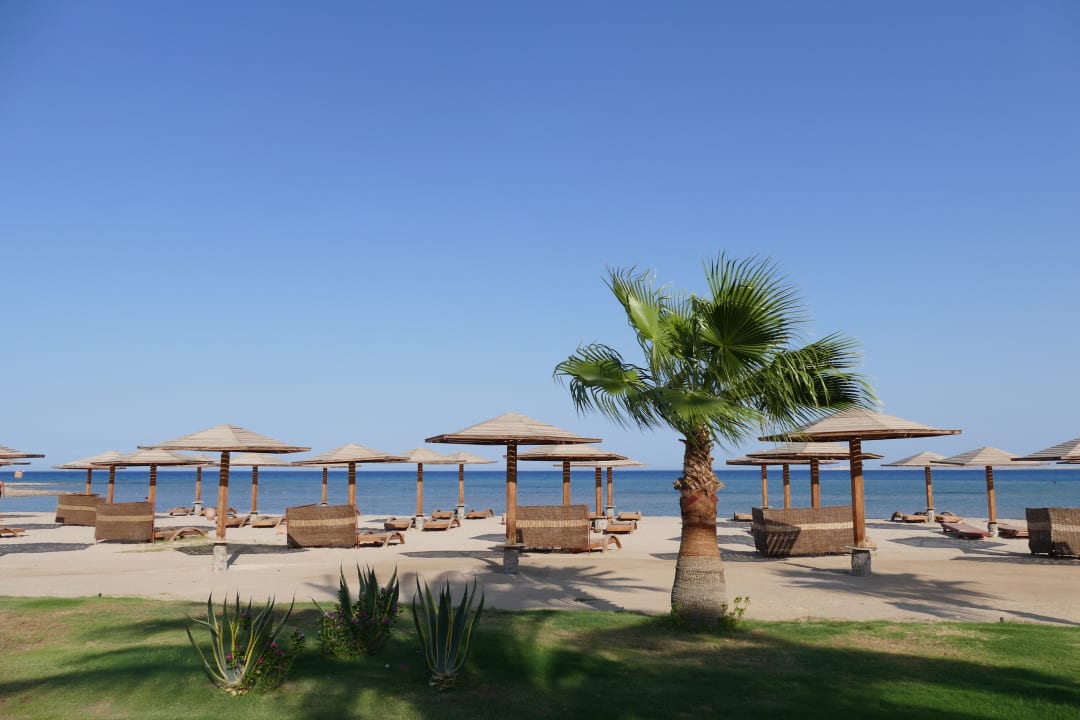 Strand Shams Prestige Abu Soma-Adults Only