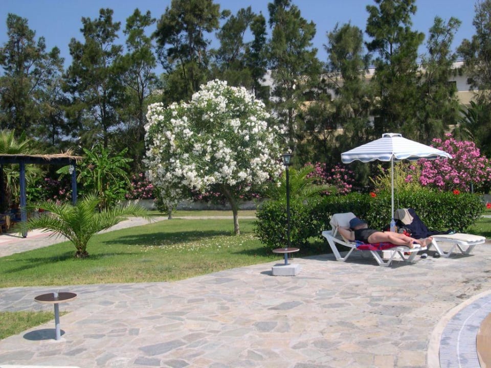 chillen am Pool Hotel Esperia