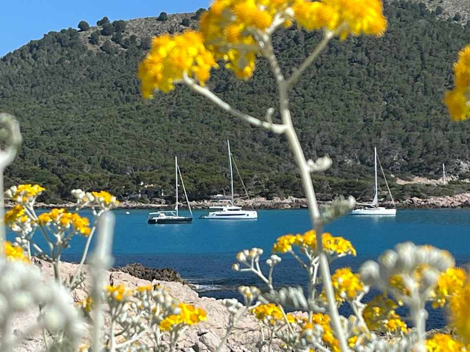 Sonstiges Hotel & Spa S'Entrador Playa