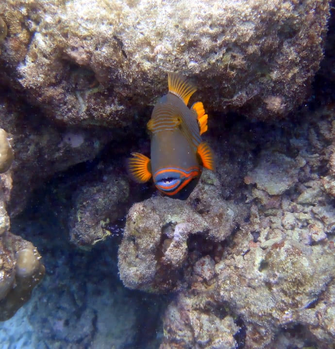 Sport & Freizeit Embudu Village