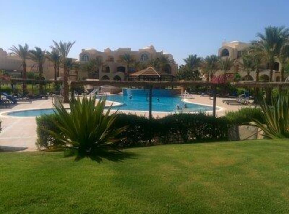 Animationspool JAZ Neo Saraya Palms