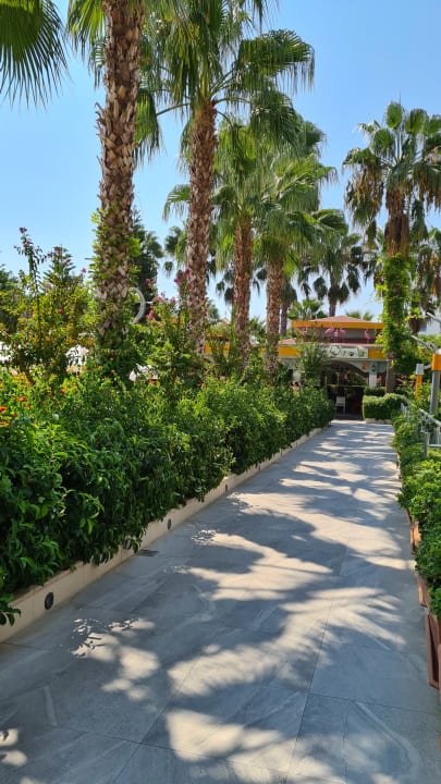 Gartenanlage Hane Family Resort