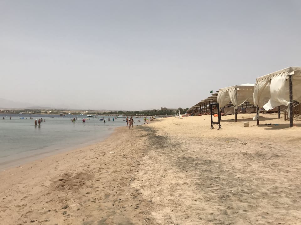 Sandstrand Makadi Spa - Adults only