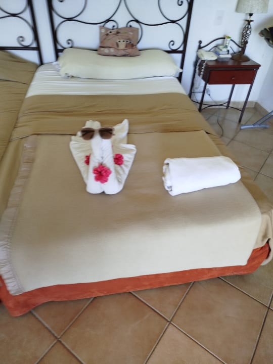 Zimmer Iberostar Origin Playa Alameda