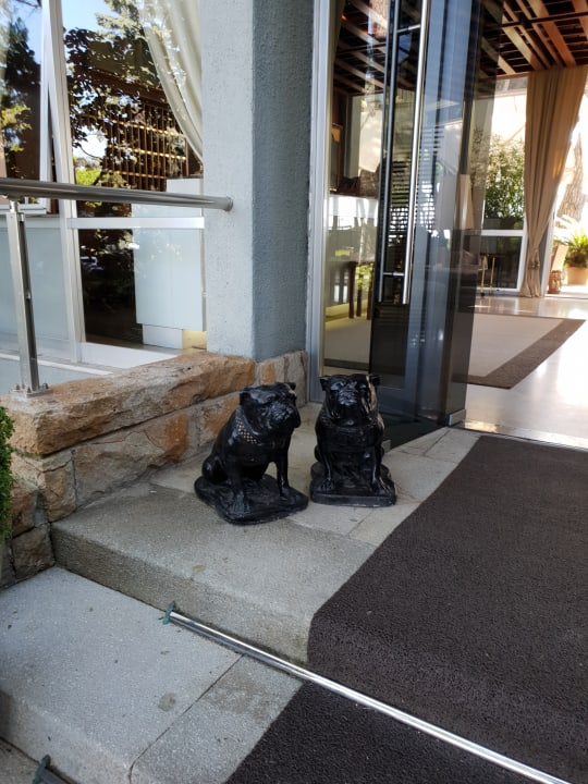Lobby Hotel Bellevue & Resort