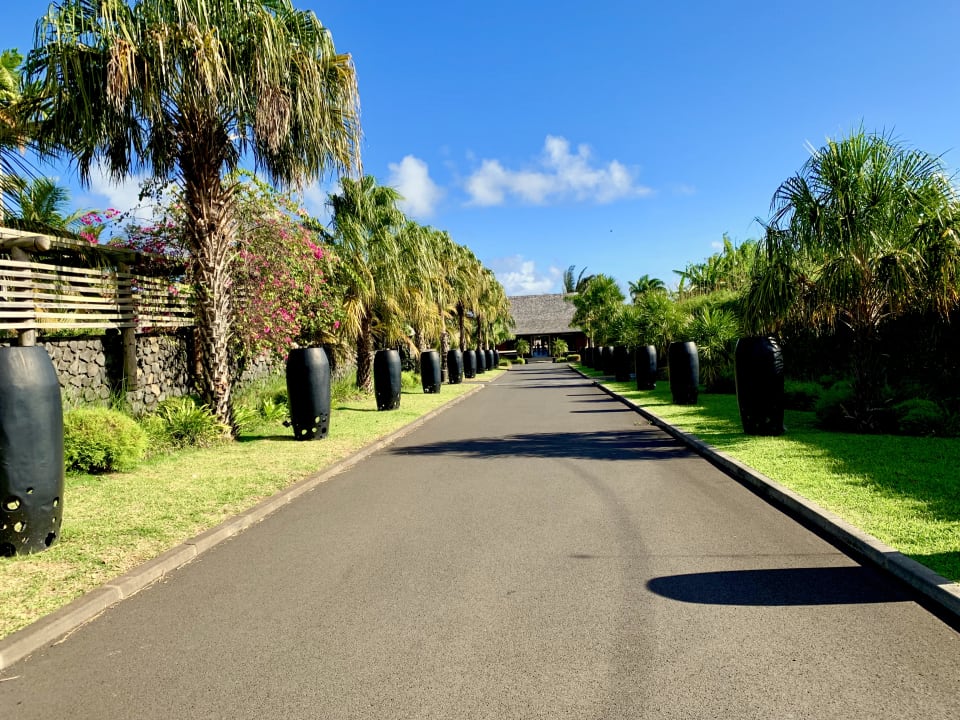 Sonstiges Palm Hotel & Spa