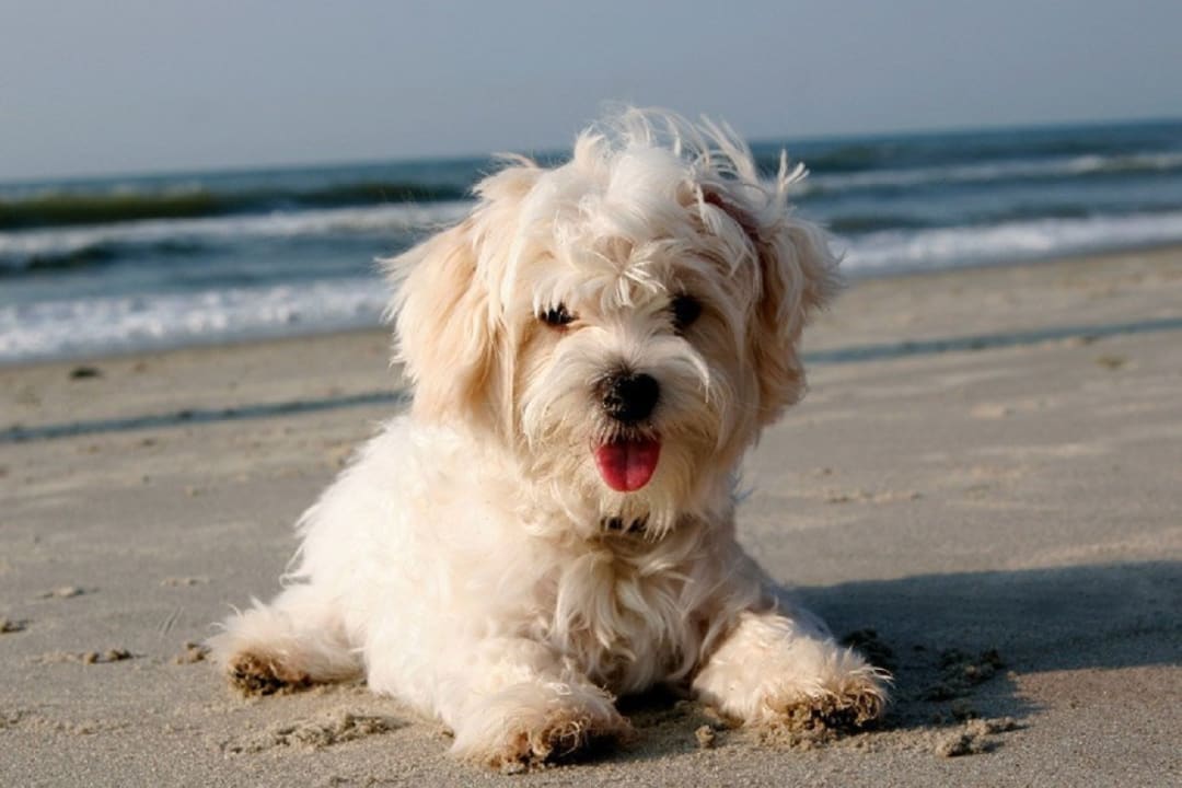 Strand Marina Palace Hotel