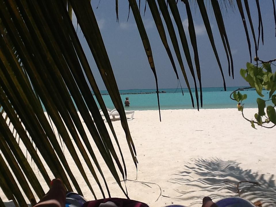 Unser Liegeplatz unter der Palme Summer Island Maldives