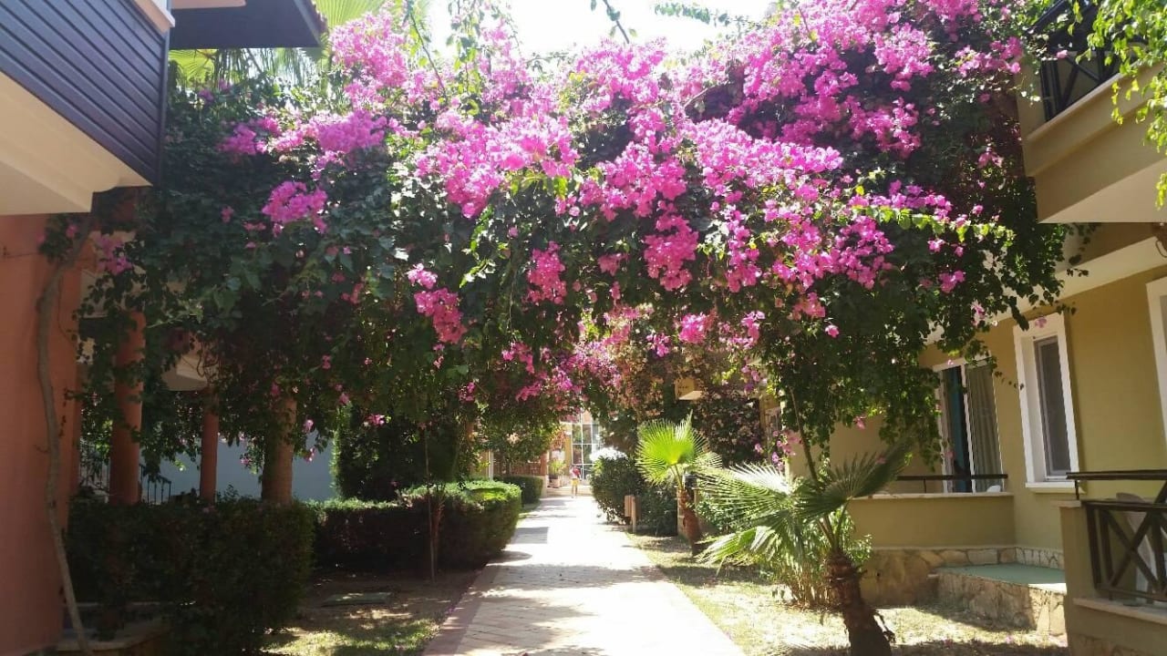 Hotel Club Dizalya