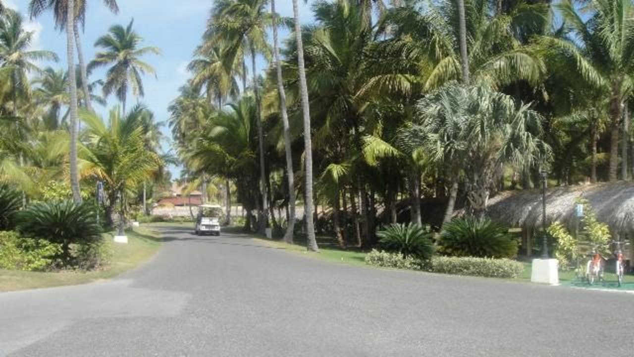 Palladium Resort - Buggy Car TRS Turquesa Hotel - Adults only