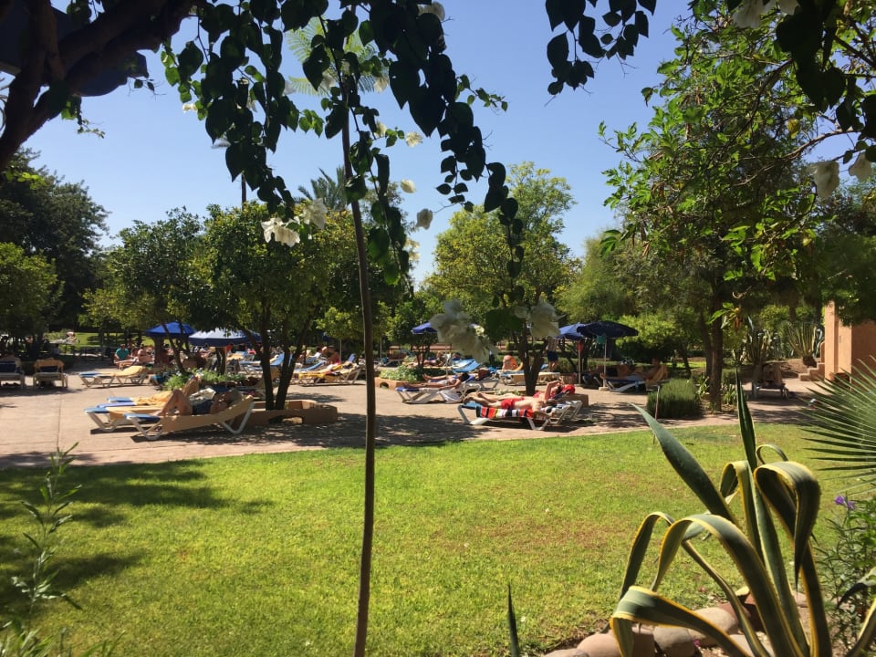 Gartenanlage Hotel Riu Tikida Garden - Adults Only