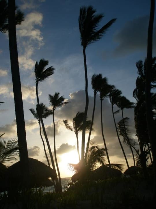 Das wird ein schöner Tag Grand Palladium Select Bávaro Resort & Spa