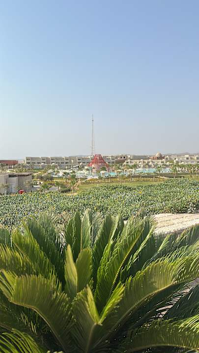 Gartenanlage Sentido Reef Oasis Suakin