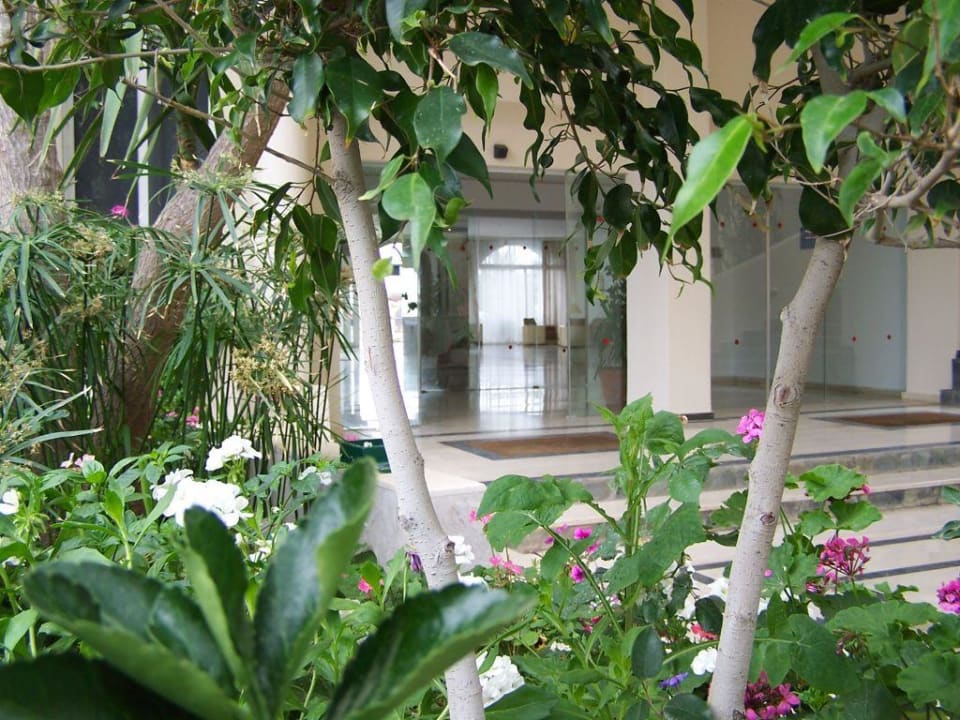 Der erste Eindruck Olympos Beach Hotel