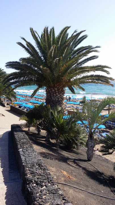 Strand Ereza Apartamentos Los Hibiscos- Adults Only